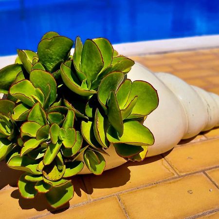 Flh Vilamoura Summer Apartment With Pool Esterno foto