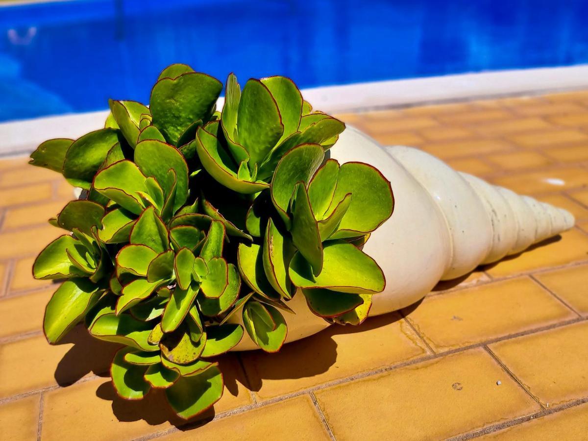 Flh Vilamoura Summer Apartment With Pool Esterno foto
